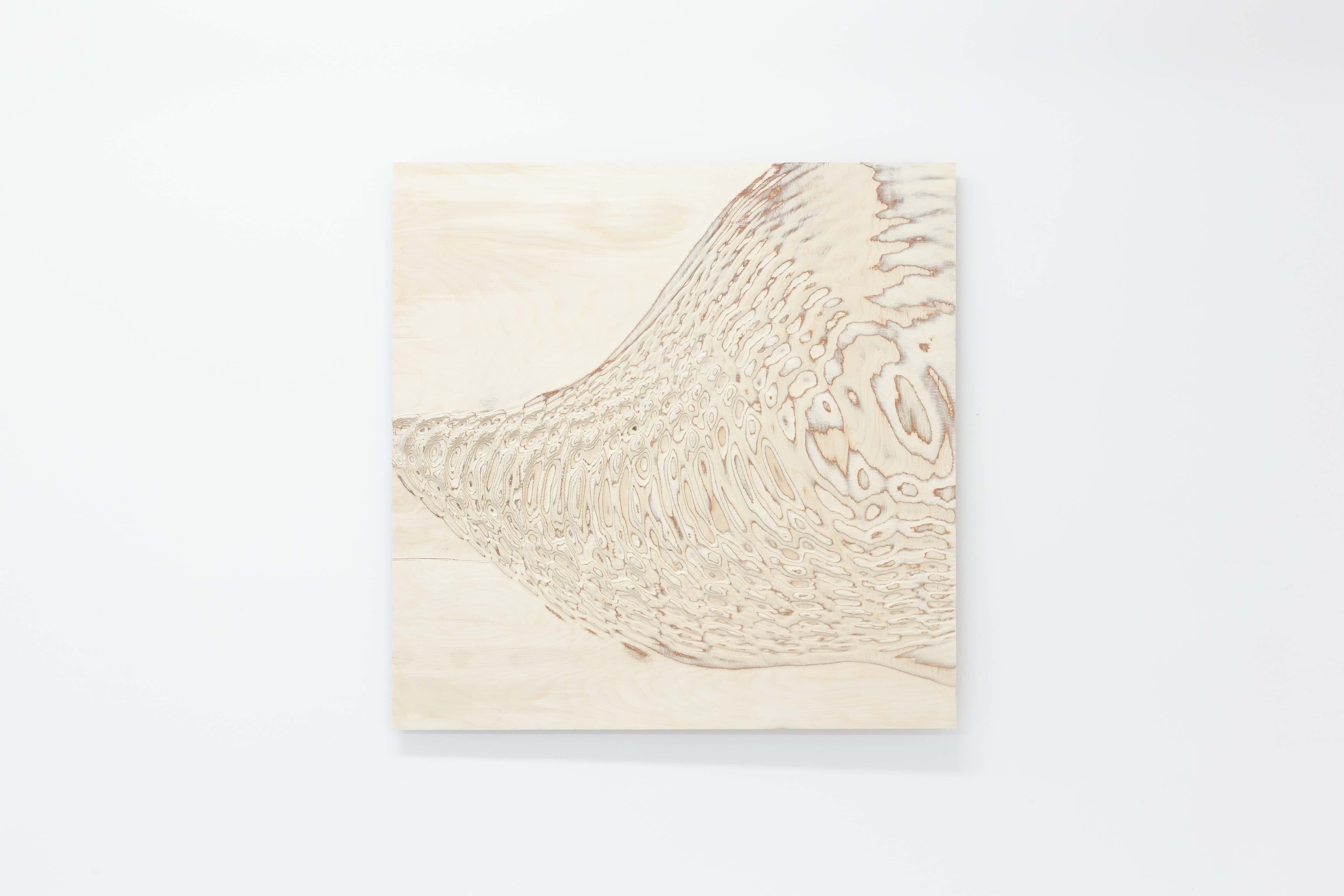 ripples and grain artwork