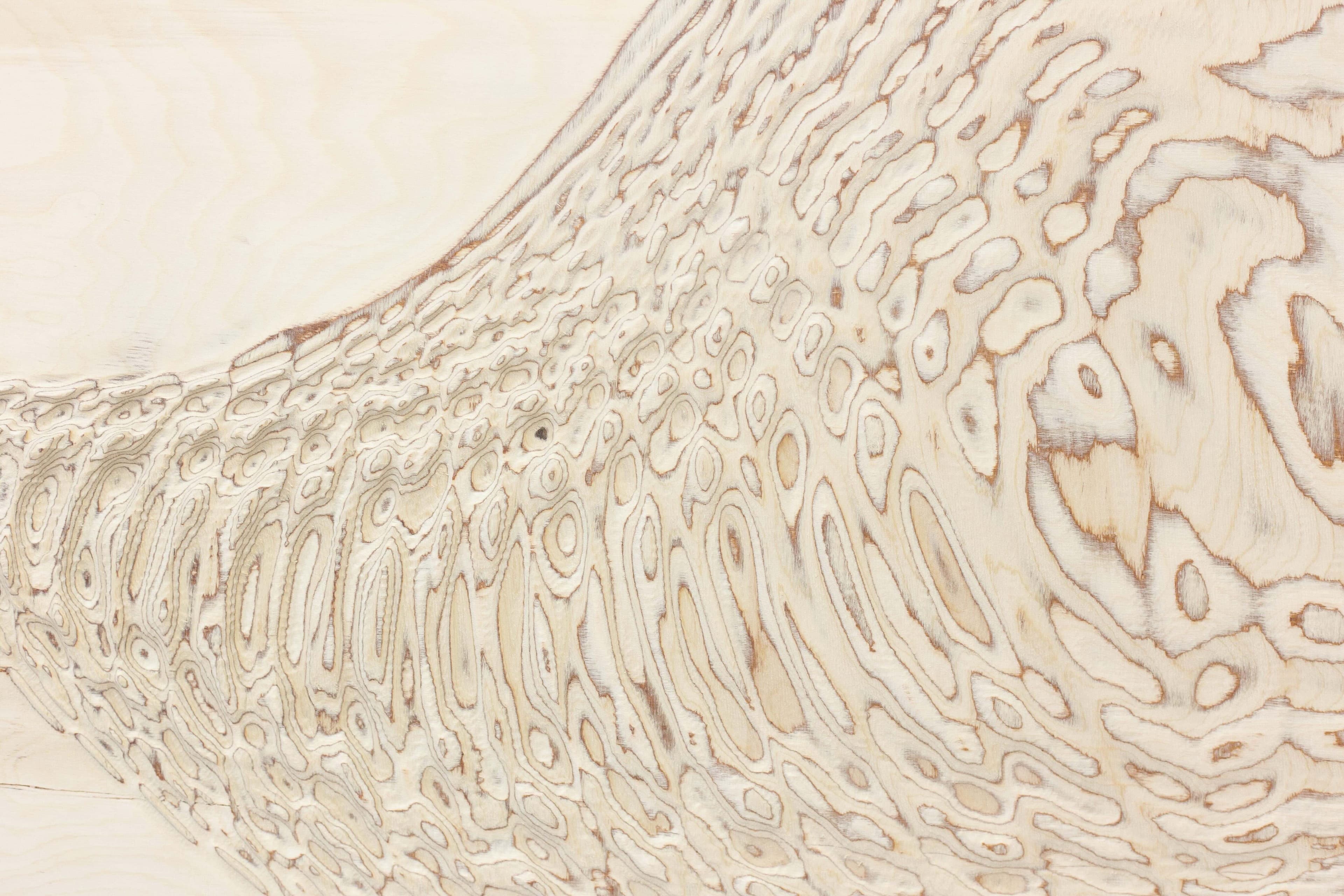 ripples and grain artwork