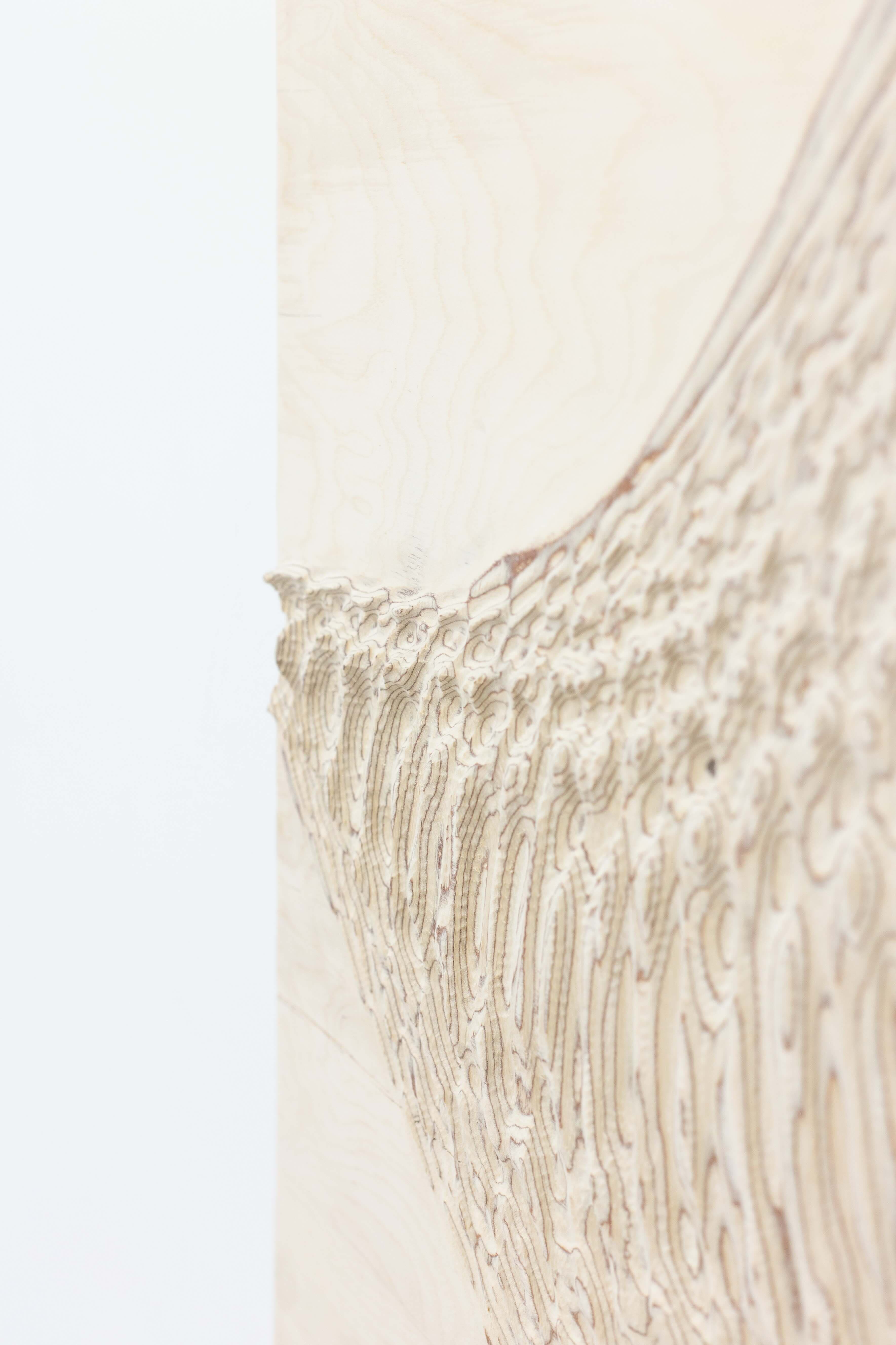 ripples and grain artwork